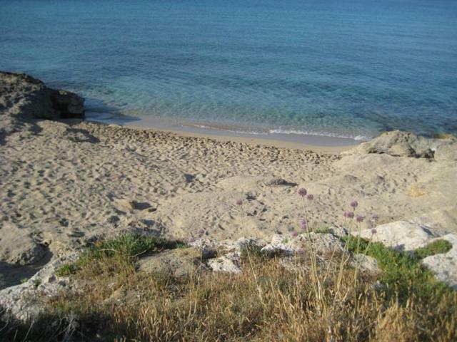 Villa Attico a 150 mt dal mare Marina di Mancaversa Esterno foto